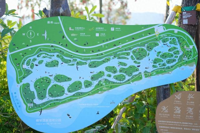 横琴自然周嘉年华启幕 五感探秘红树林守护湿地生态