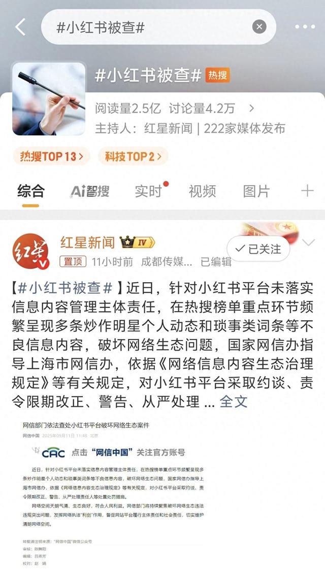 内江seo排名变现（小红书塌房以种草闻名的社交巨头）