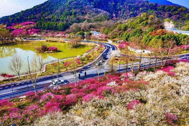 美丽农村路 | 告别“一季限定”，临平这条农村路步步皆是好风光