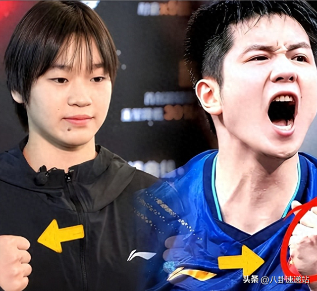 全运会结束仅半月，担心的事发生	，才发现全红婵和樊振东处境一样