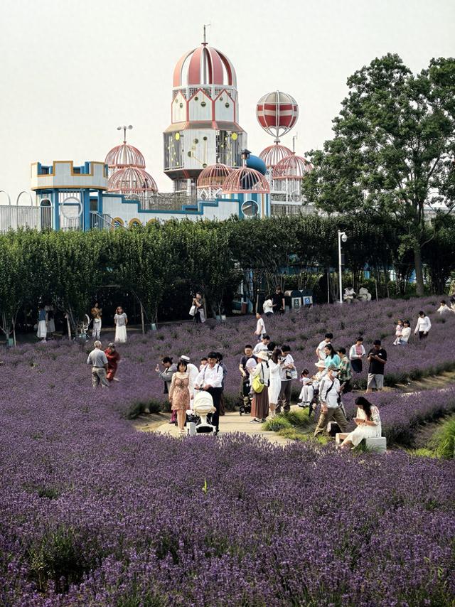 秋假叠加国庆，杭州市民爱上节前在三方平台预订文旅产品