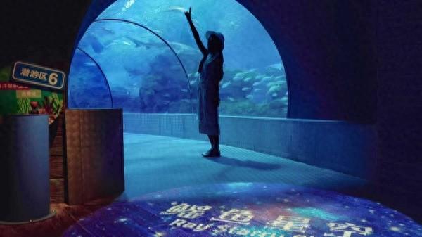 上海长风海洋世界“鳐鱼星空”启幕：鳐鱼翩跹如星河，解锁海洋浪漫