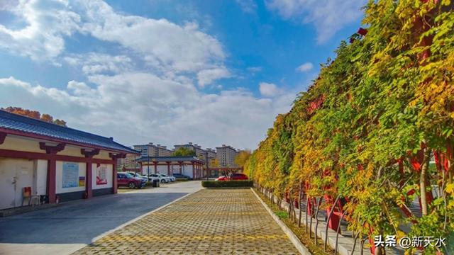 摄影师看麦积 | 马跑泉公园冬日风光美