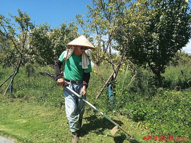 福地怀化 懂你如家｜​怀化粟裕公园  提升环境服务迎盛会