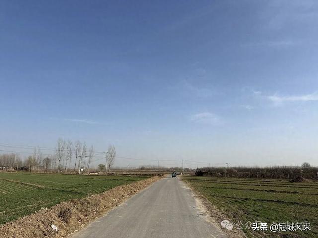 冠县乡韵·辛集镇闫二庄