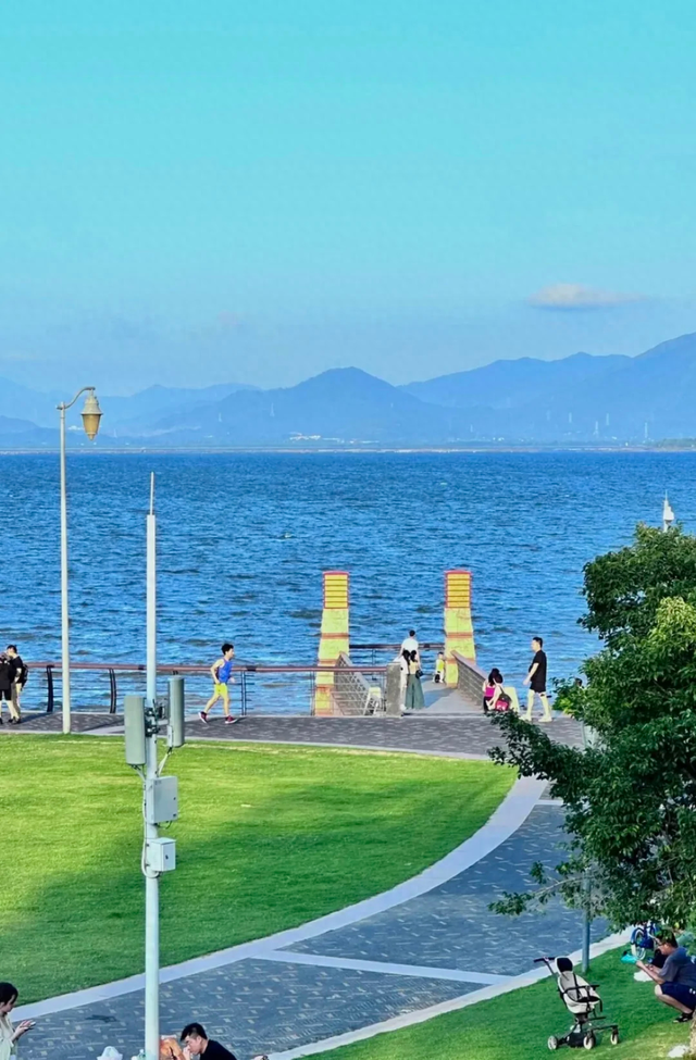 深圳｜2024穿梭未来都市：霓虹大厦、玻璃海滩与舌尖AI之旅