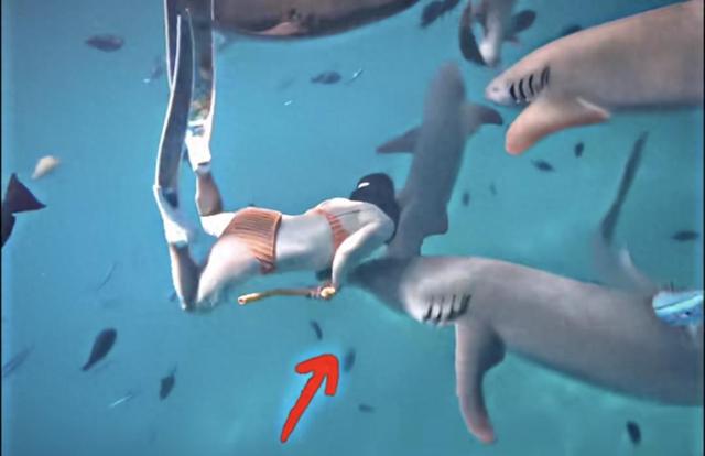 拿命换赞，你真酷吗？