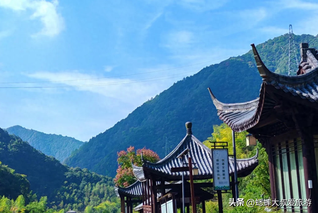 秋日赏玩来浙江“限免”4A景区吧，95%的森林覆盖率，超惊艳！