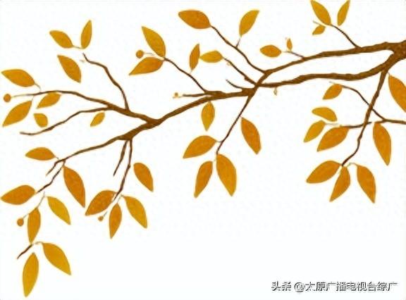 【花漾植物园】太原植物园国庆中秋花卉展，邀您共赴秋日花海盛宴！