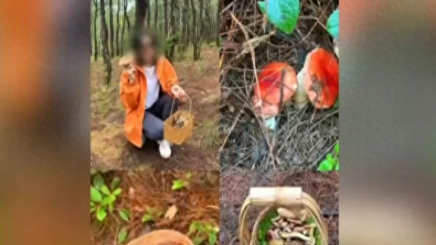 一天超万名游客进山！这个旅游项目爆火，专家警告：一旦破坏就“断子绝孙”了