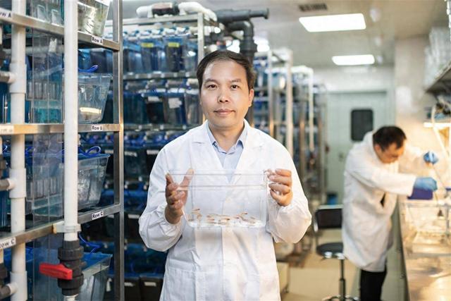 “鱼航员”打破太空生存纪录 为神舟二十一“太空鼠”出征铺垫实验基础