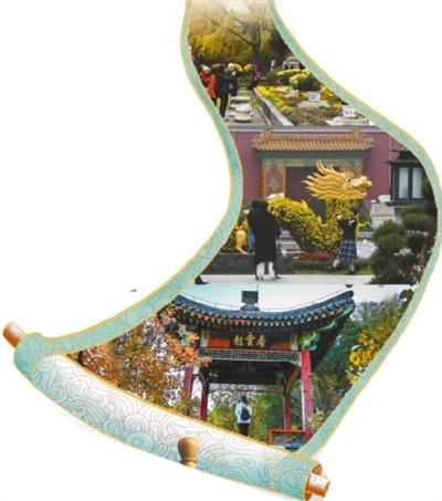 彩叶秋菊映古建 京华盛景入画卷