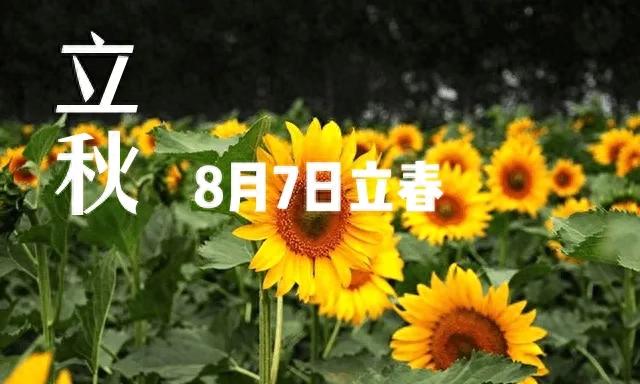 8月7日立秋！2个好消息4个坏消息，今年“秋老虎”特别猛？