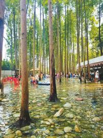 九寨沟和黄龙景区连续多日门票售罄