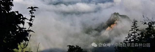 白草洼国家森林公园临时闭园通知