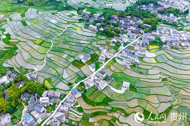 你是赏秋“早鸟”吗？ 9月错峰出游正适时