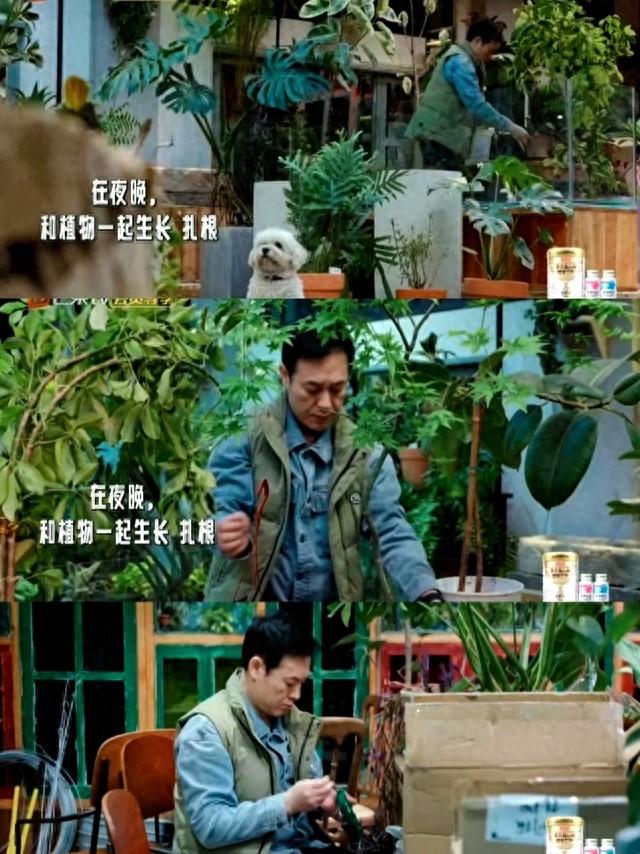 张颂文的院子火了，收养流浪猫狗	，收垃圾，捡羊粪，看满院落叶