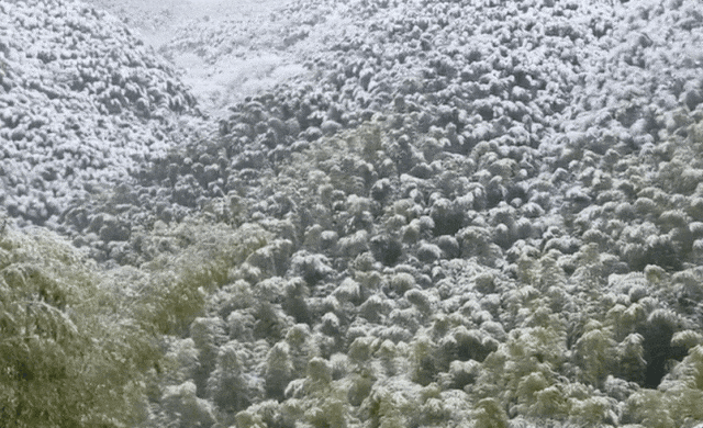 打卡变求救！一场六小时的踏雪营救……
