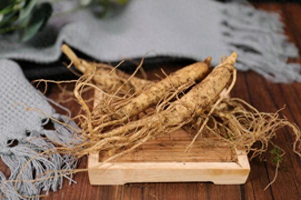 五宝茶功效与作用（人参五宝茶）