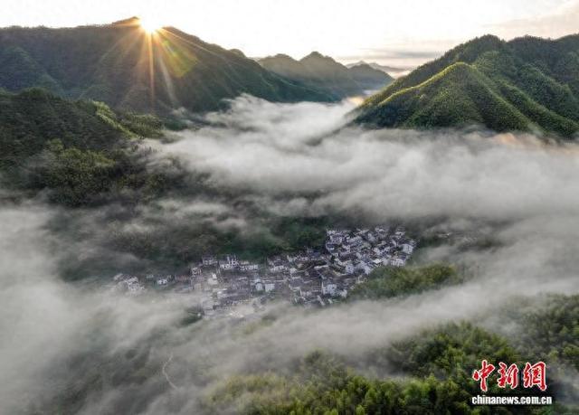 安徽黟县：雨后竹海云雾缭绕似仙境