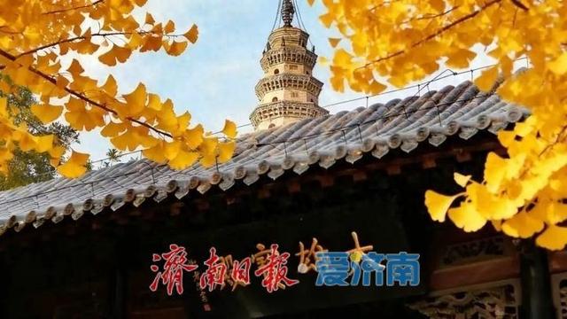 堵车不堵心，人多不误景，云边银杏正温暖风影