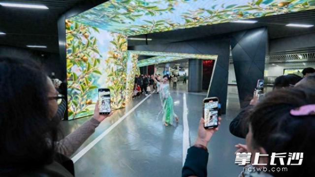 油茶花海“开进”地铁站！湖南茶油“真香市集”火热开启