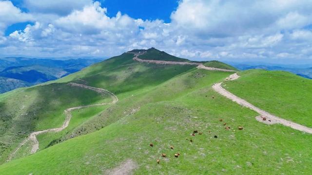 在白松坝，停驻于岁月漫溯山河的刹那