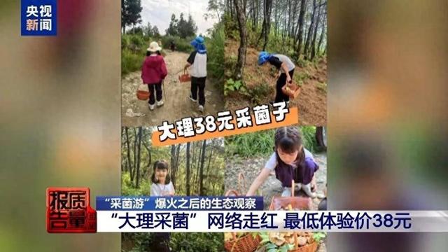 东湖快语｜“大理采菌”爆火，谨防“生态游”滑向“生态忧”