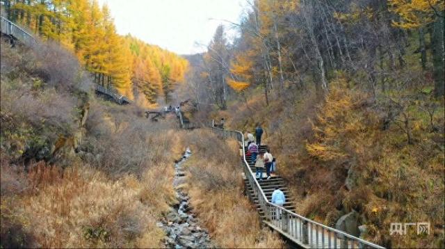 600余人齐聚苏木山！“纵马北疆 踏歌而行”重阳登高活动圆满落幕