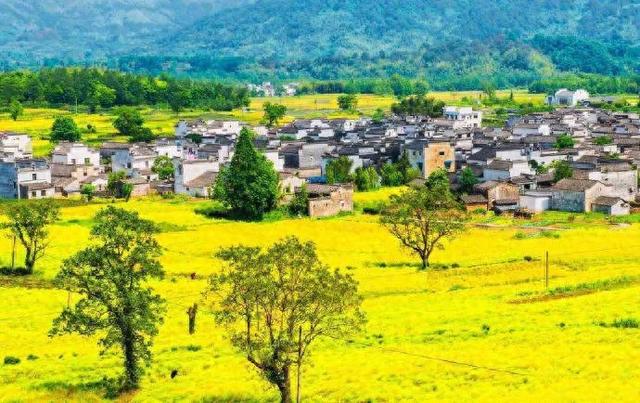 藏在宏村身后的水墨秘境:卢村,与时光对坐的千年古村!