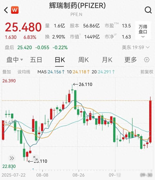 政府关门，芯片暴涨，锂矿易主？