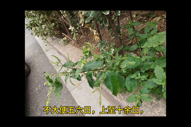 2025年11月1日 第62页