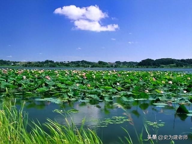 故乡丰县：游微山湖，感自然之美（散文）