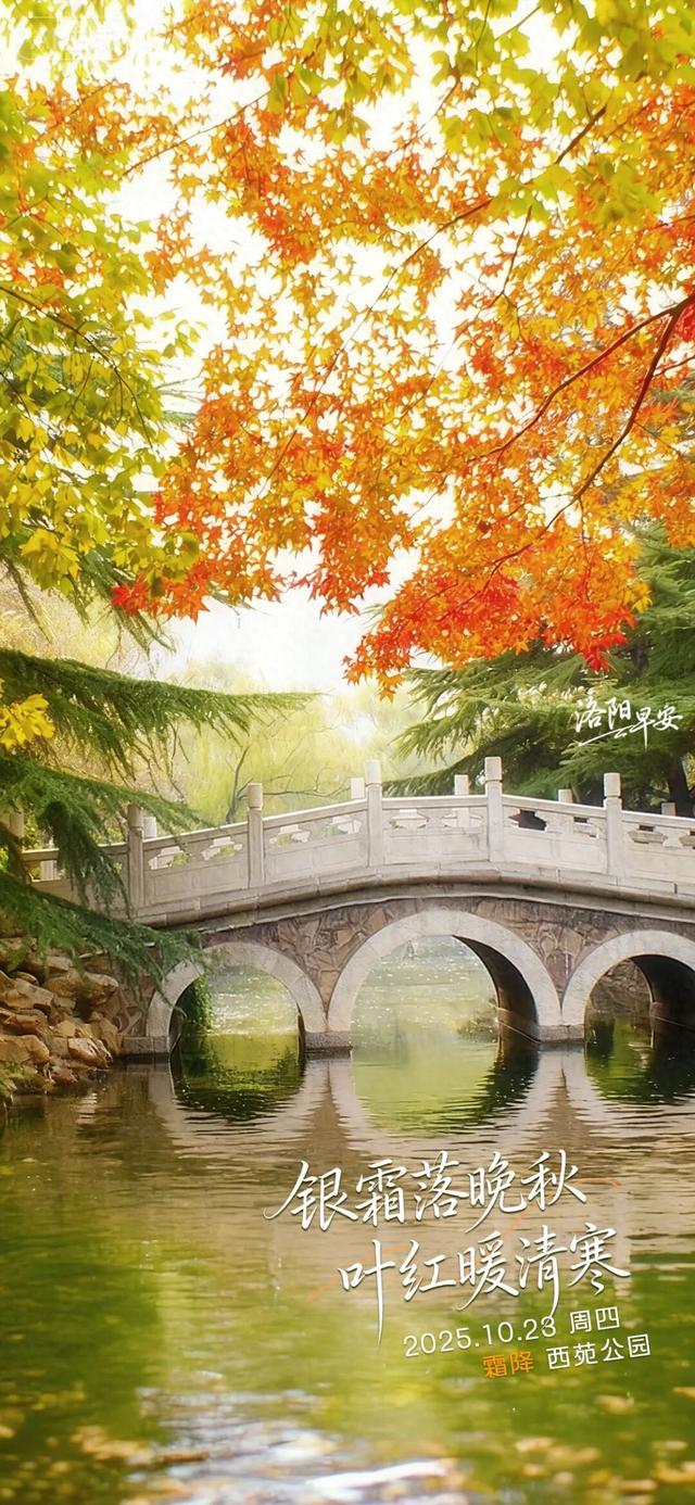洛阳·早安|银霜落晚秋 叶红暖清寒
