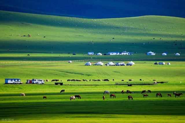 草原、沙漠与森林的密语：探访内蒙古那些不为人知的“宝藏”