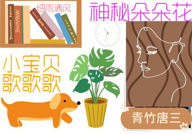 何必转身乱了芳华前一句是什么_蛋糕问答(能以背影倾天下)