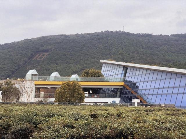 苏州最有灵气的徒步路线，我在旺山漫步竹海茶园，邂逅灵猴碧潭