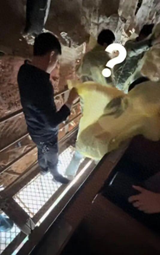 游客被困在20米空中，竟是一只小鸟闯的祸，山东泰安一景区回应：可以申请退票