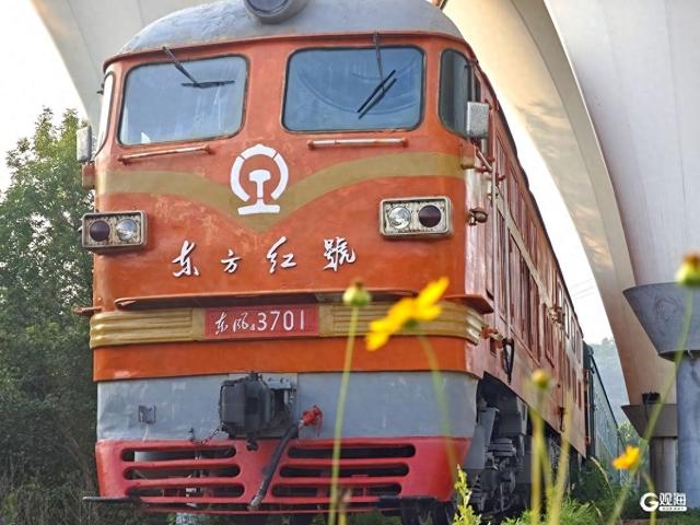 青岛百果山森林公园东方红火车：盛夏的复古列车