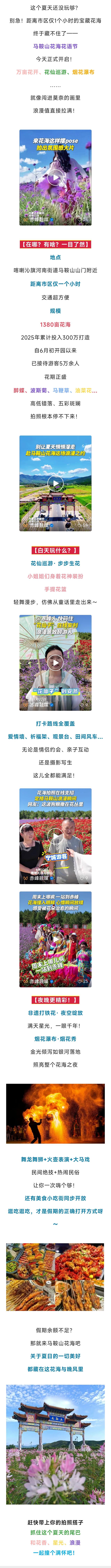 全开了！赤峰这片花海藏不住了