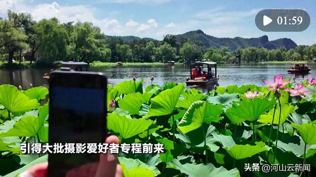 河北承德：盛夏时节荷花绽放 避暑山庄游人如织