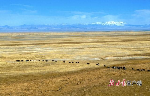 阿克塞：哈尔腾高原美景如画
