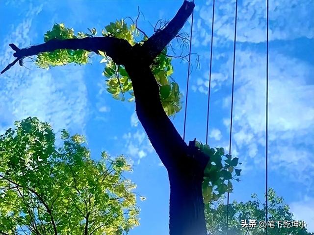 发现！一个现象：父母有退休金的家庭，基本上会有这几种共性