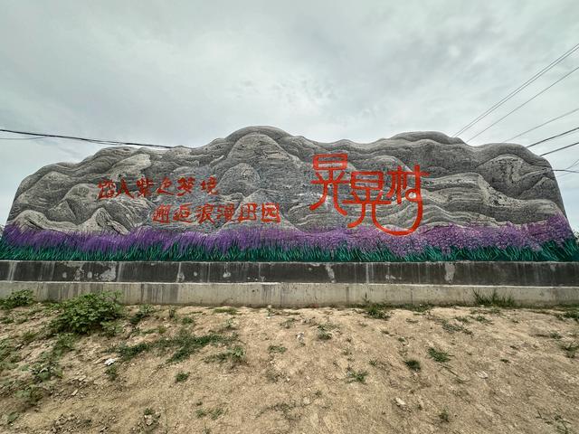 印象新疆——薰衣草园和天山花海