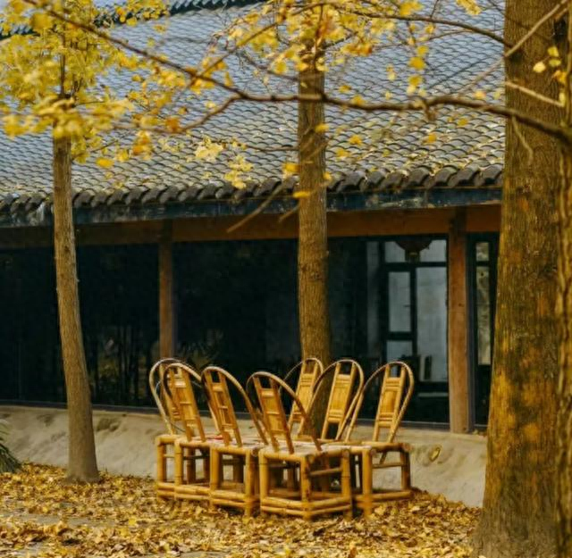 退休后，只想找个院子，不争、不赶、不卷