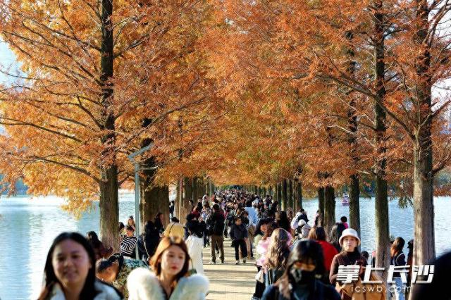 又是艳阳天，打卡人如潮｜组图