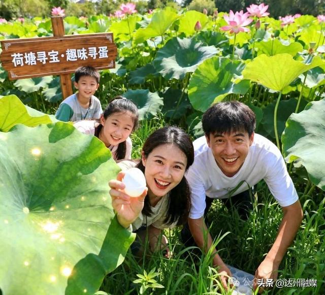国庆中秋去哪玩？金山景区超全活动指南来了！