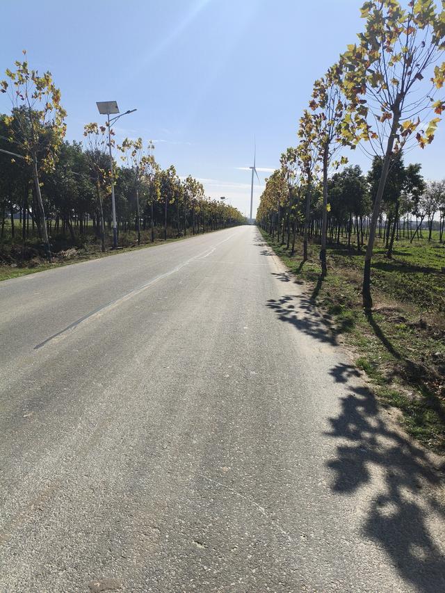 当爱已成往事，回忆为何还那么刺痛