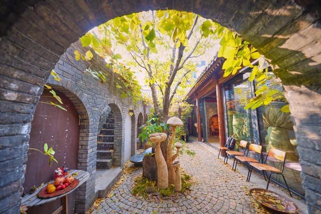 来东城这个胡同小院，邂逅蘑菇精灵的童话秘境——