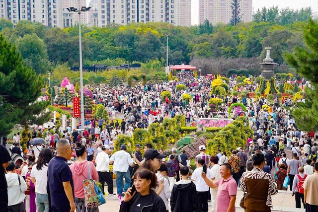 哈尔滨市香坊菊花展热度飙升，带火辖区多处主题公园